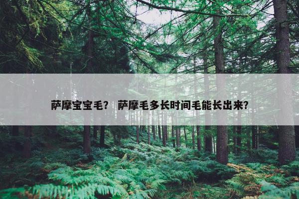 萨摩宝宝毛？ 萨摩毛多长时间毛能长出来？