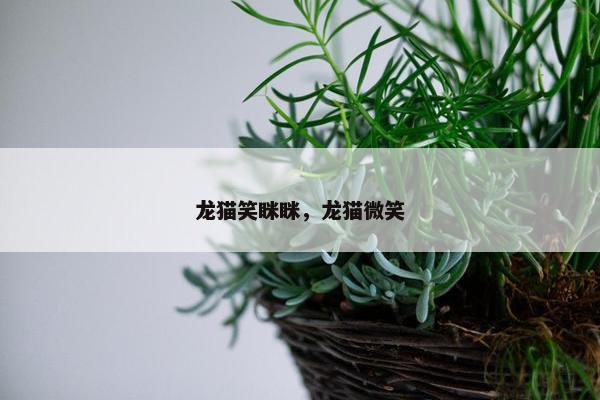 谜底