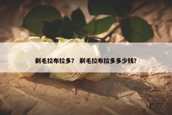 剃毛拉布拉多？ 剃毛拉布拉多多少钱？