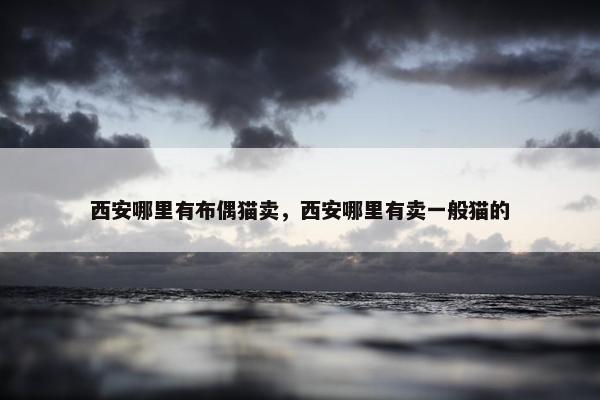 西安哪里有布偶猫卖，西安哪里有卖一般猫的