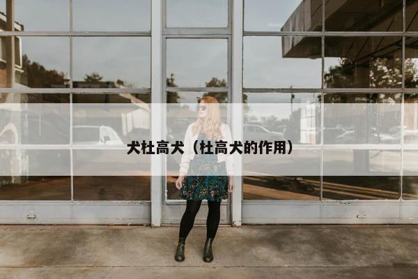 犬杜高犬（杜高犬的作用）