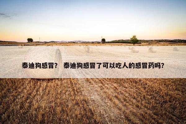 泰迪狗感冒? 泰迪狗感冒了可以吃人的感冒药吗?