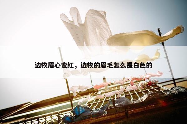 边牧眉心变红,边牧的眉毛怎么是白色的