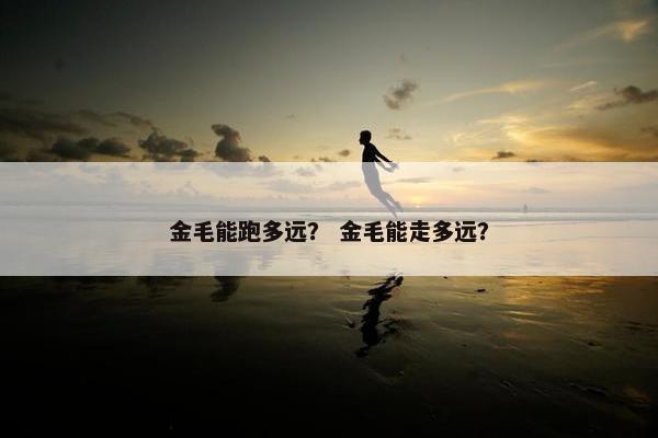 金毛能跑多远？ 金毛能走多远？