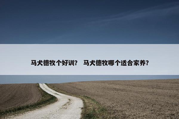马犬德牧个好训？ 马犬德牧哪个适合家养？