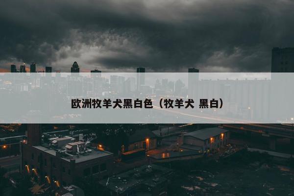 欧洲牧羊犬黑白色（牧羊犬 黑白）