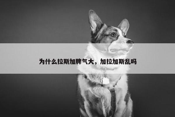 为什么拉斯加脾气大，加拉加斯乱吗
