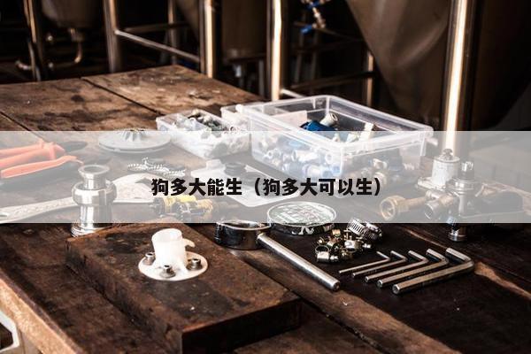 狗多大能生（狗多大可以生）