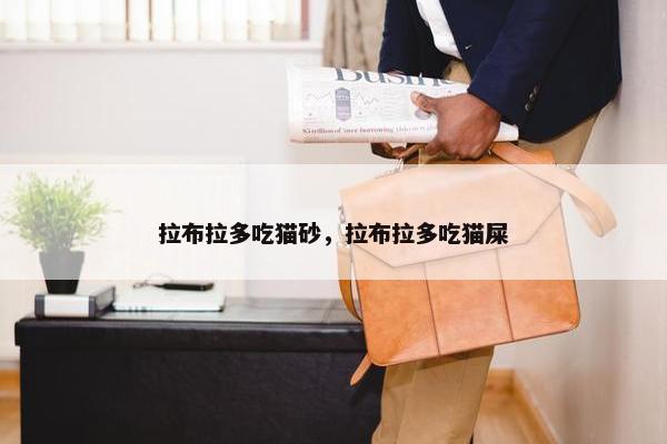 拉布拉多吃猫砂，拉布拉多吃猫屎
