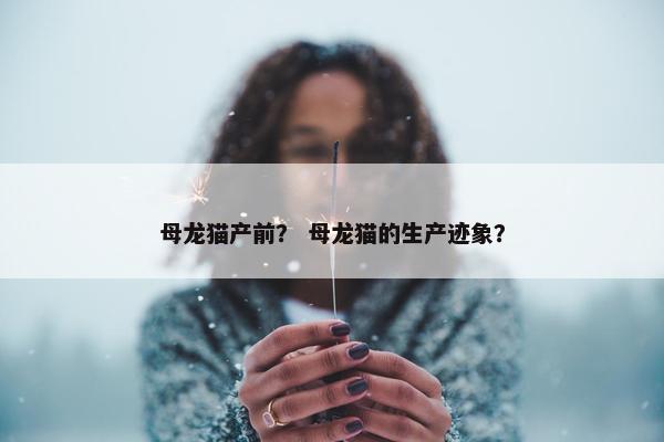母龙猫产前？ 母龙猫的生产迹象？