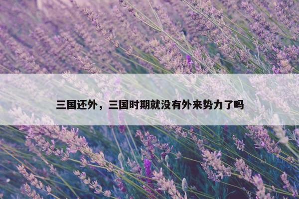 三国还外，三国时期就没有外来势力了吗