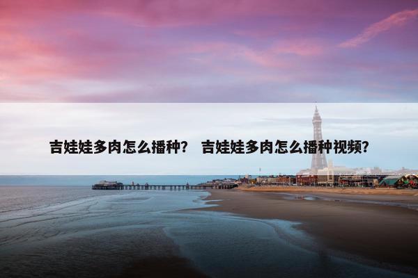 吉娃娃多肉怎么播种？ 吉娃娃多肉怎么播种视频？
