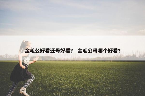 金毛公好看还母好看？ 金毛公母哪个好看？