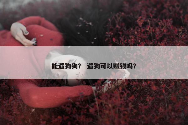 能遛狗狗？ 遛狗可以赚钱吗？