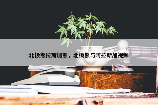 北极熊拉斯加熊，北极熊与阿拉斯加视频