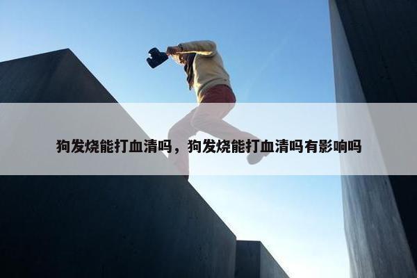 狗发烧能打血清吗，狗发烧能打血清吗有影响吗