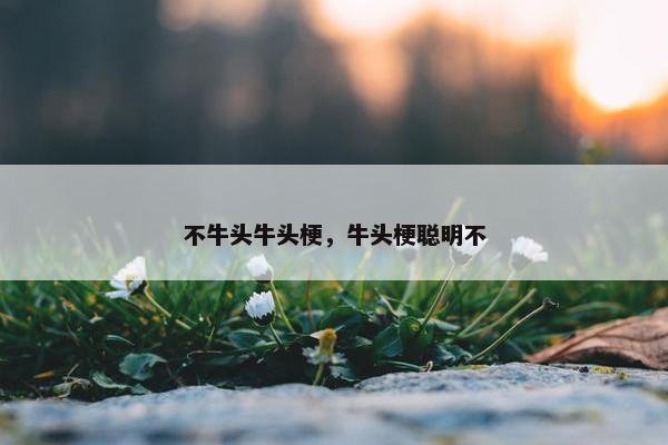 不牛头牛头梗，牛头梗聪明不