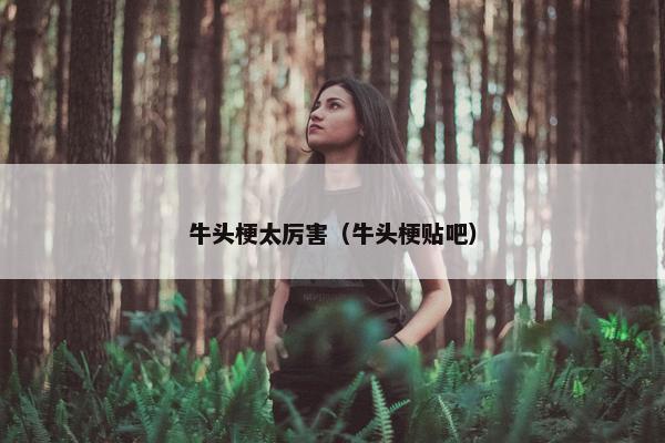 牛头梗太厉害（牛头梗贴吧）