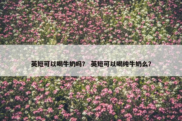 英短可以喝牛奶吗？ 英短可以喝纯牛奶么？