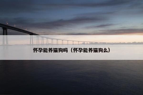 怀孕能养猫狗吗（怀孕能养猫狗么）