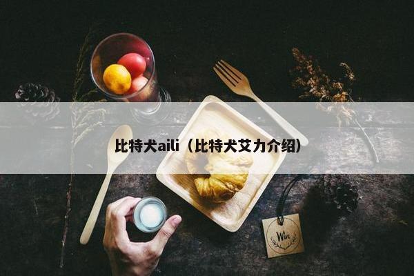 比特犬aili（比特犬艾力介绍）