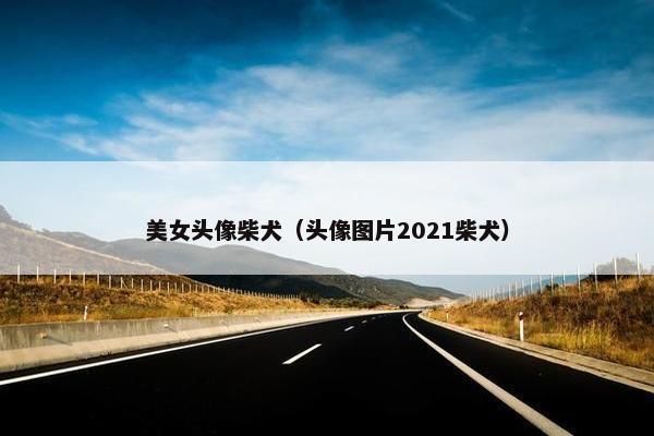 美女头像柴犬（头像图片2021柴犬）