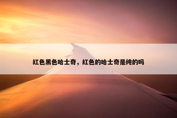 红色黑色哈士奇，红色的哈士奇是纯的吗