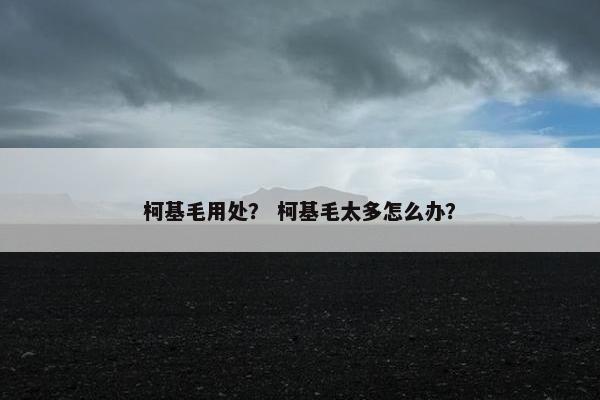 柯基毛用处？ 柯基毛太多怎么办？