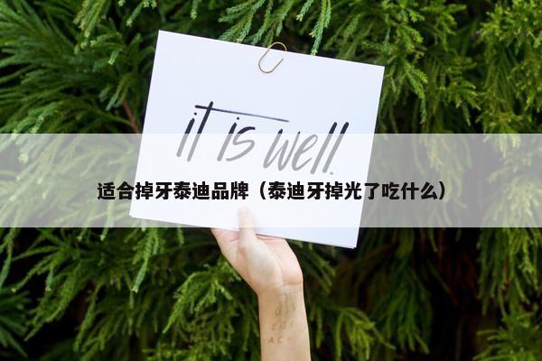 适合掉牙泰迪品牌（泰迪牙掉光了吃什么）
