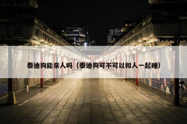 泰迪狗能亲人吗（泰迪狗可不可以和人一起睡）