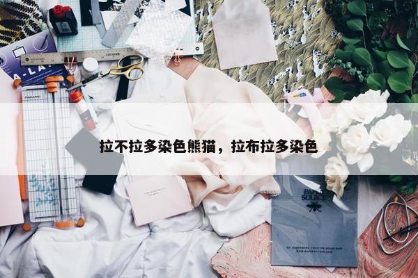拉不拉多染色熊猫,拉布拉多染色