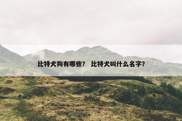 比特犬狗有哪些? 比特犬叫什么名字?