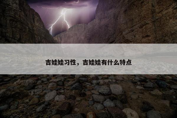 吉娃娃习性,吉娃娃有什么特点