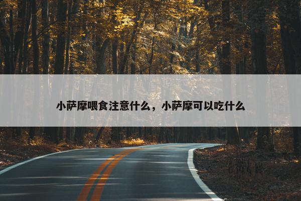 小萨摩喂食注意什么，小萨摩可以吃什么