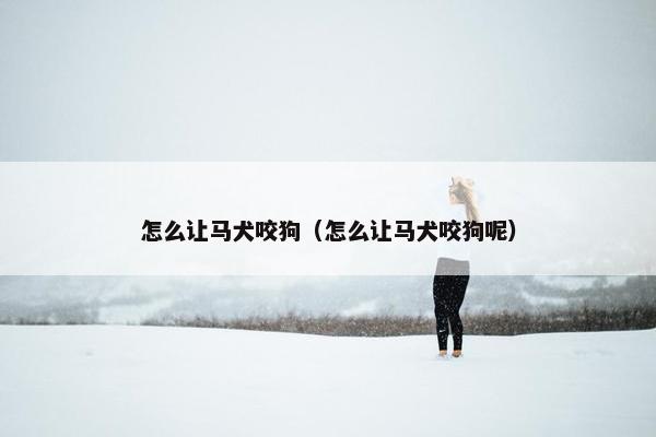 怎么让马犬咬狗（怎么让马犬咬狗呢）