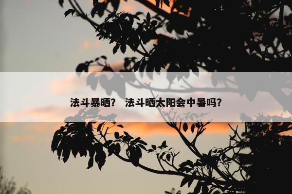 法斗暴晒？ 法斗晒太阳会中暑吗？
