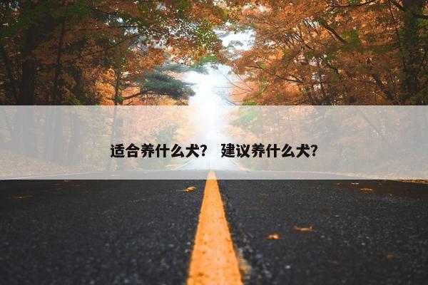 适合养什么犬? 建议养什么犬?