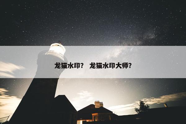 支持