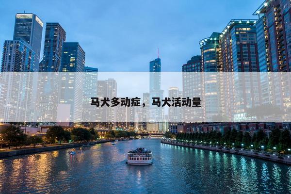 马犬多动症，马犬活动量
