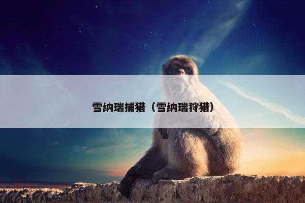 雪纳瑞捕猎（雪纳瑞狩猎）