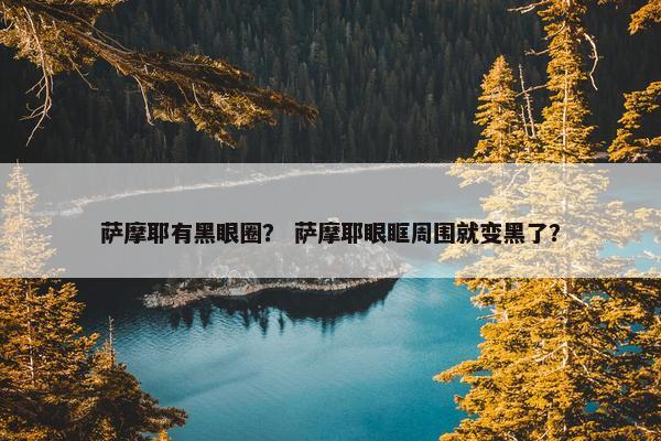 萨摩耶有黑眼圈？ 萨摩耶眼眶周围就变黑了？