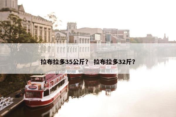 拉布拉多35公斤？ 拉布拉多32斤？