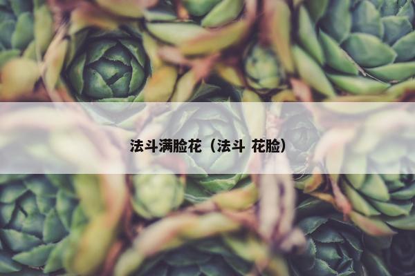 法斗满脸花（法斗 花脸）