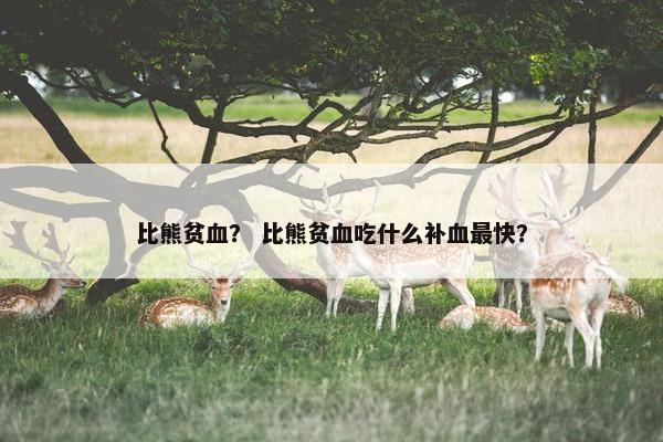 比熊贫血？ 比熊贫血吃什么补血最快？