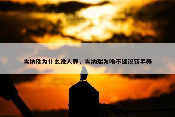 雪纳瑞为什么没人养，雪纳瑞为啥不建议新手养