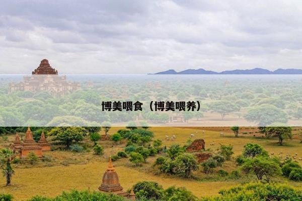 小体 第4页