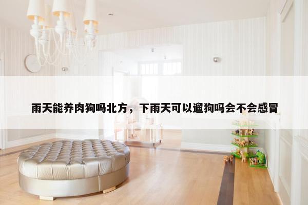 雨天能养肉狗吗北方，下雨天可以遛狗吗会不会感冒