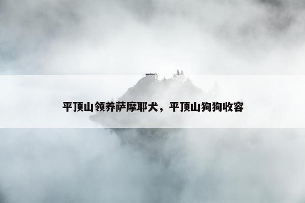 平顶山领养萨摩耶犬，平顶山狗狗收容