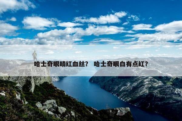 哈士奇眼睛红血丝？ 哈士奇眼白有点红？