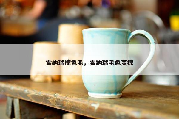 雪纳瑞棕色毛，雪纳瑞毛色变棕
